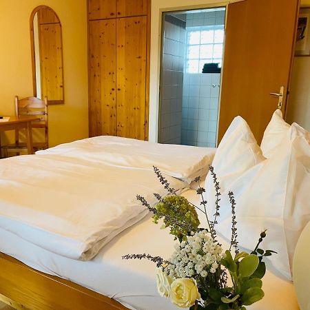 Pension Gartner Wallern im Burgenland ภายนอก รูปภาพ