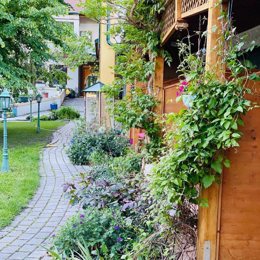 Pension Gartner Wallern im Burgenland ภายนอก รูปภาพ
