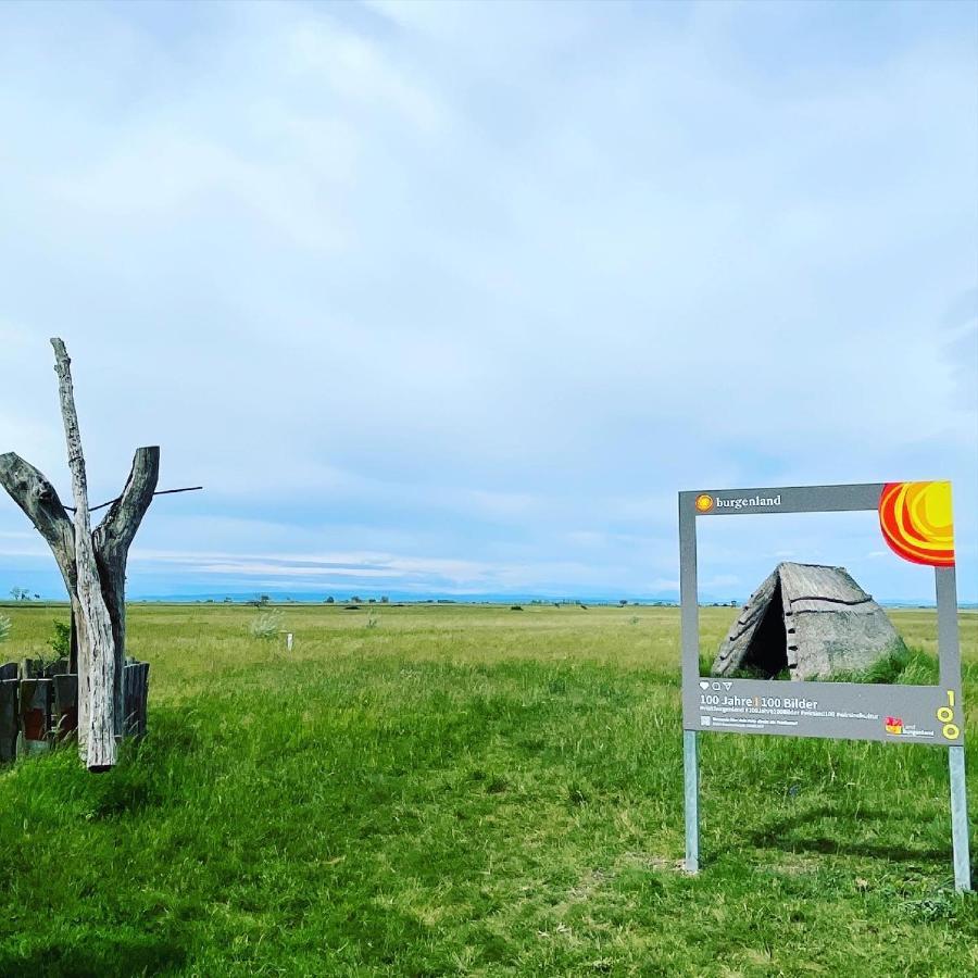 Pension Gartner Wallern im Burgenland ภายนอก รูปภาพ